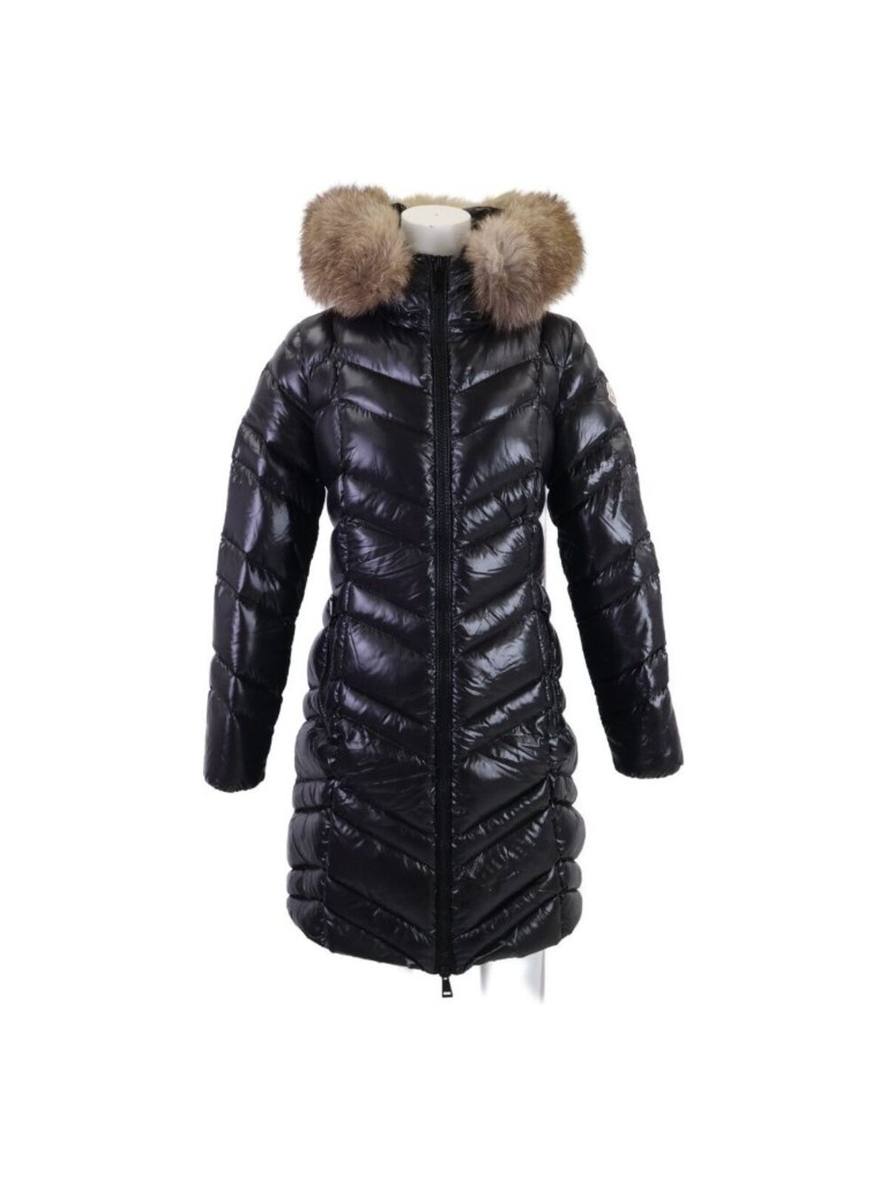Moncler Fulmar Hoodie Down